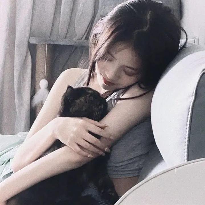 江山美人
